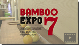 BAMBOO EXPO 7